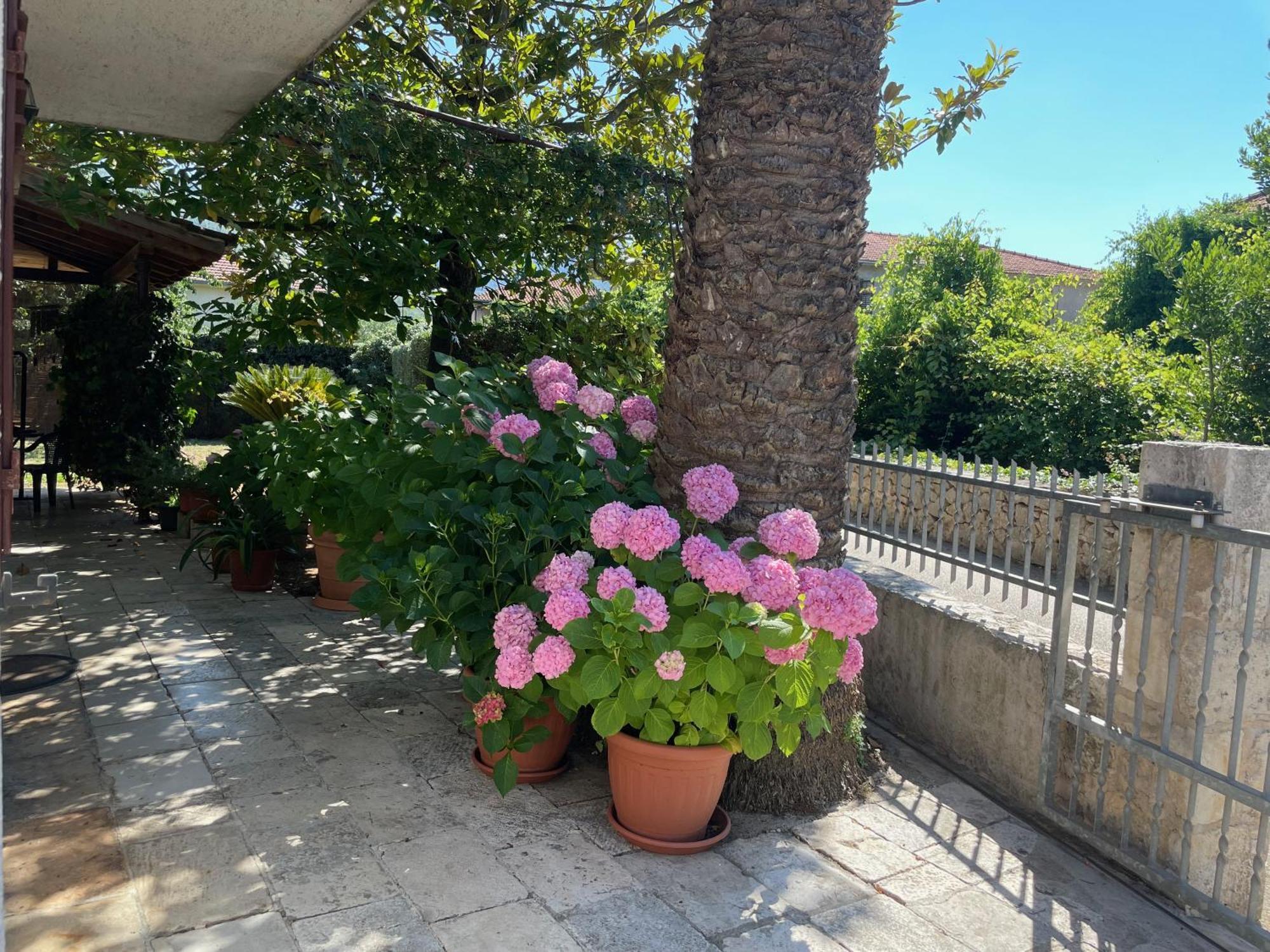 Hvar Guesthouse - Double Bedroom With Private Bathroom Єлса Екстер'єр фото